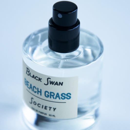 Beach Grass