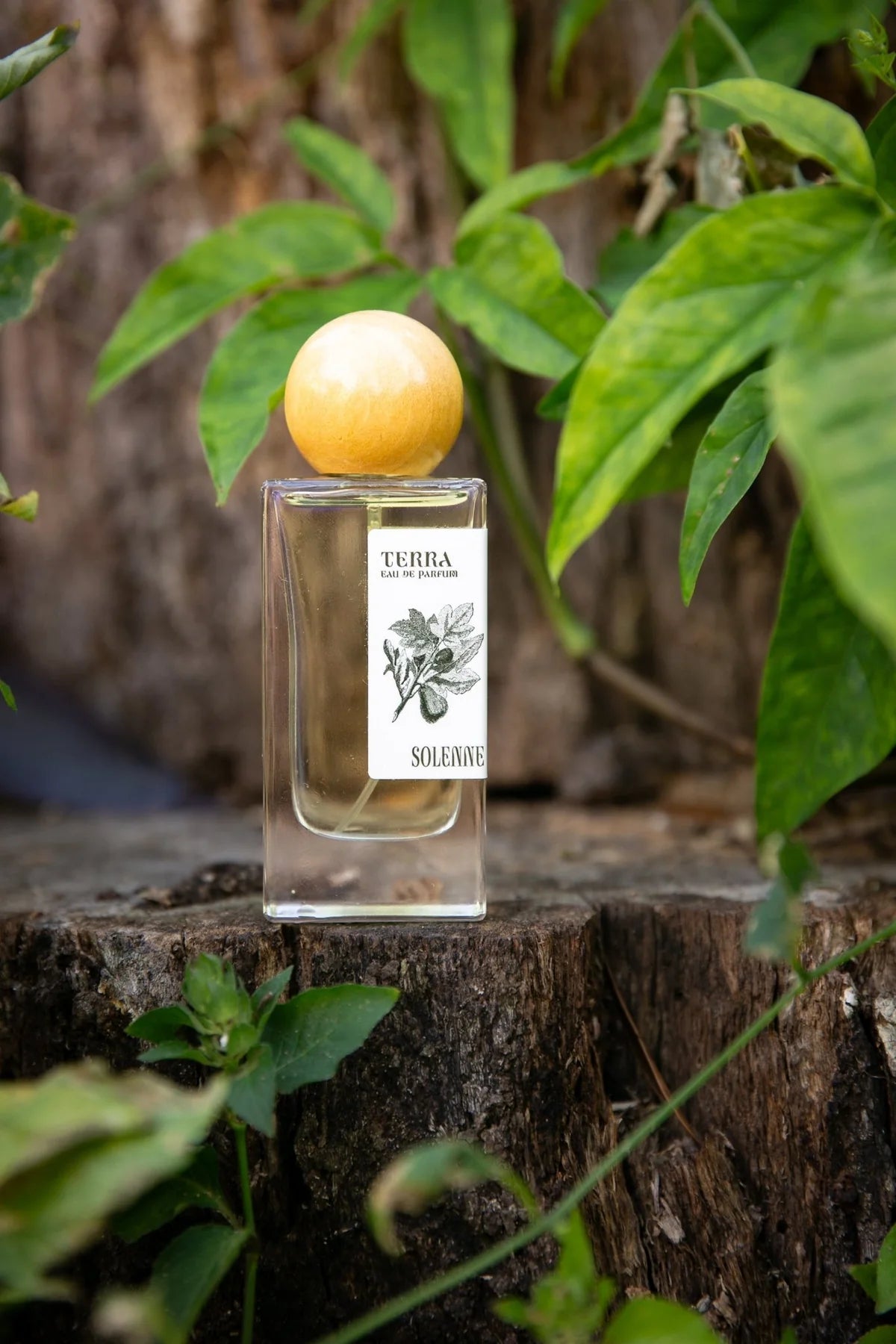 Terra (50 mL)