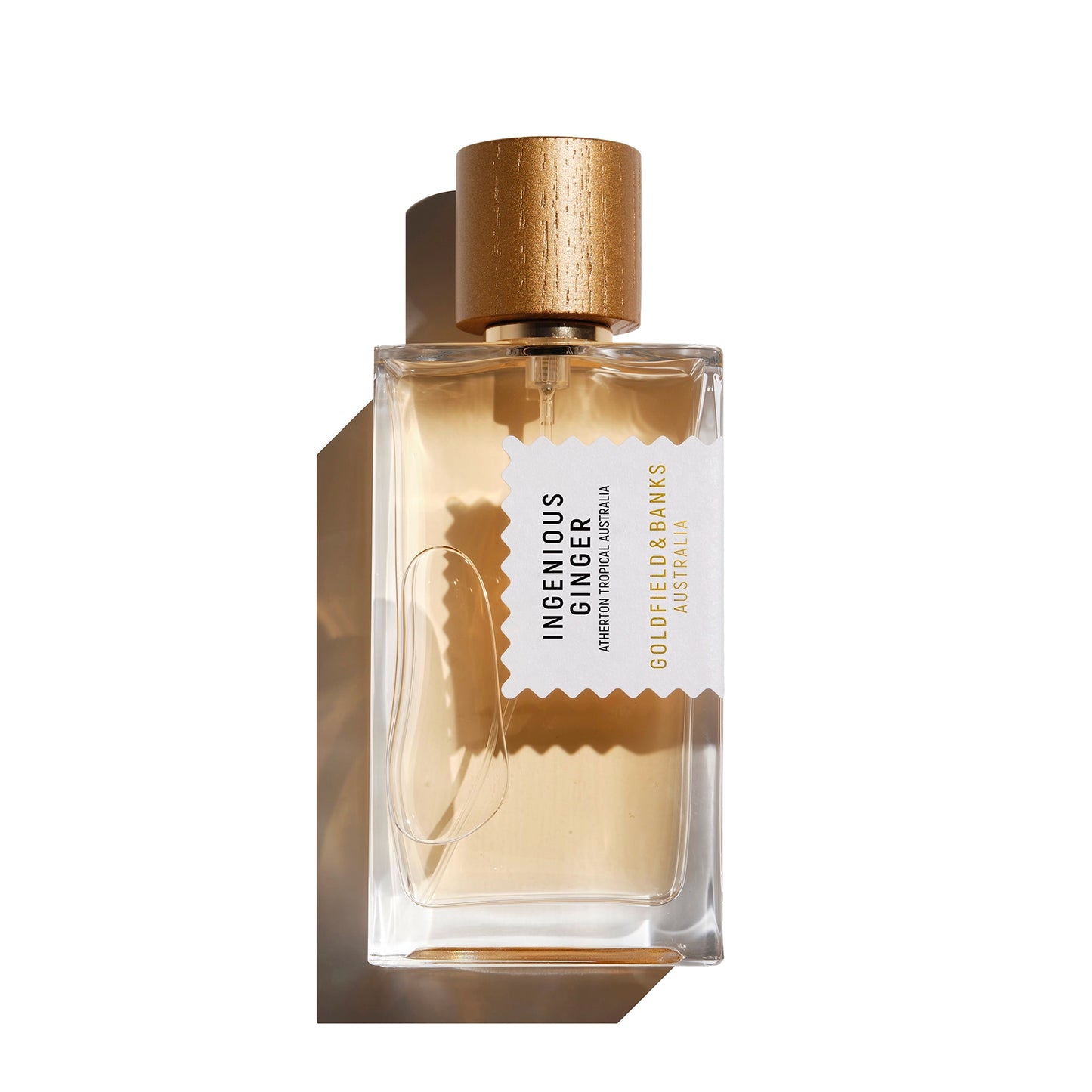 Ingenious Ginger (100 mL)