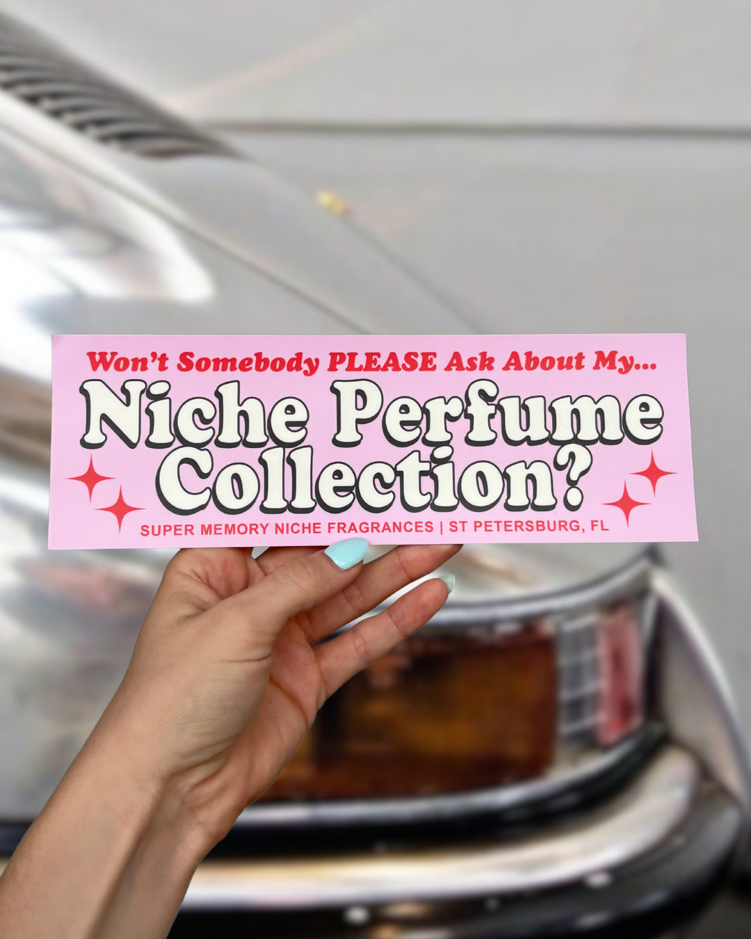 Won't Somebody Please... Bumper Sticker